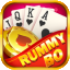 rummy flare icon